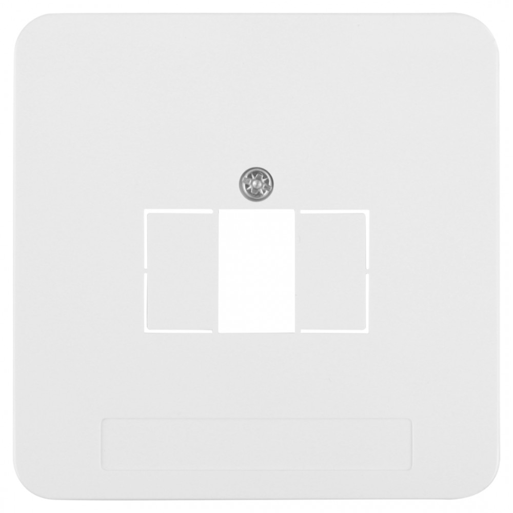 Peha Standard centraalplaat TAE/USB - polarwit