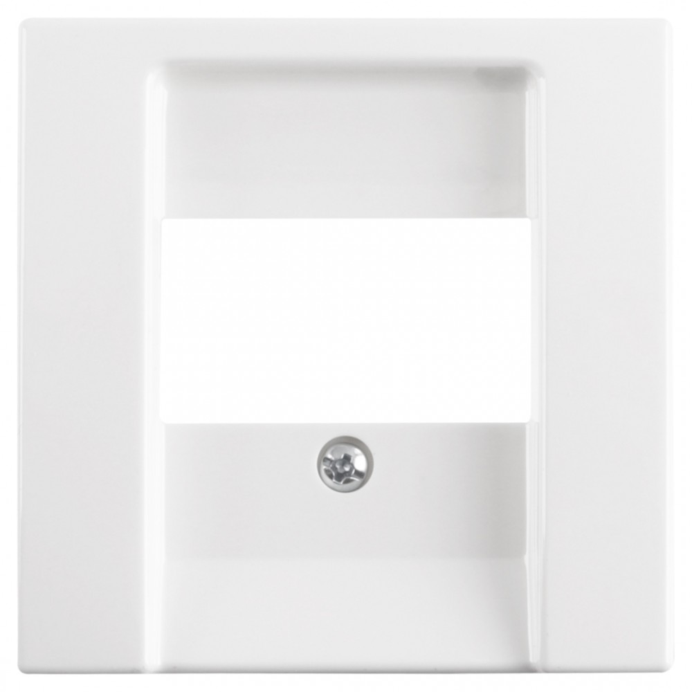 Busch-Jaeger Balance afdekplaat TAE/USB - polarwit