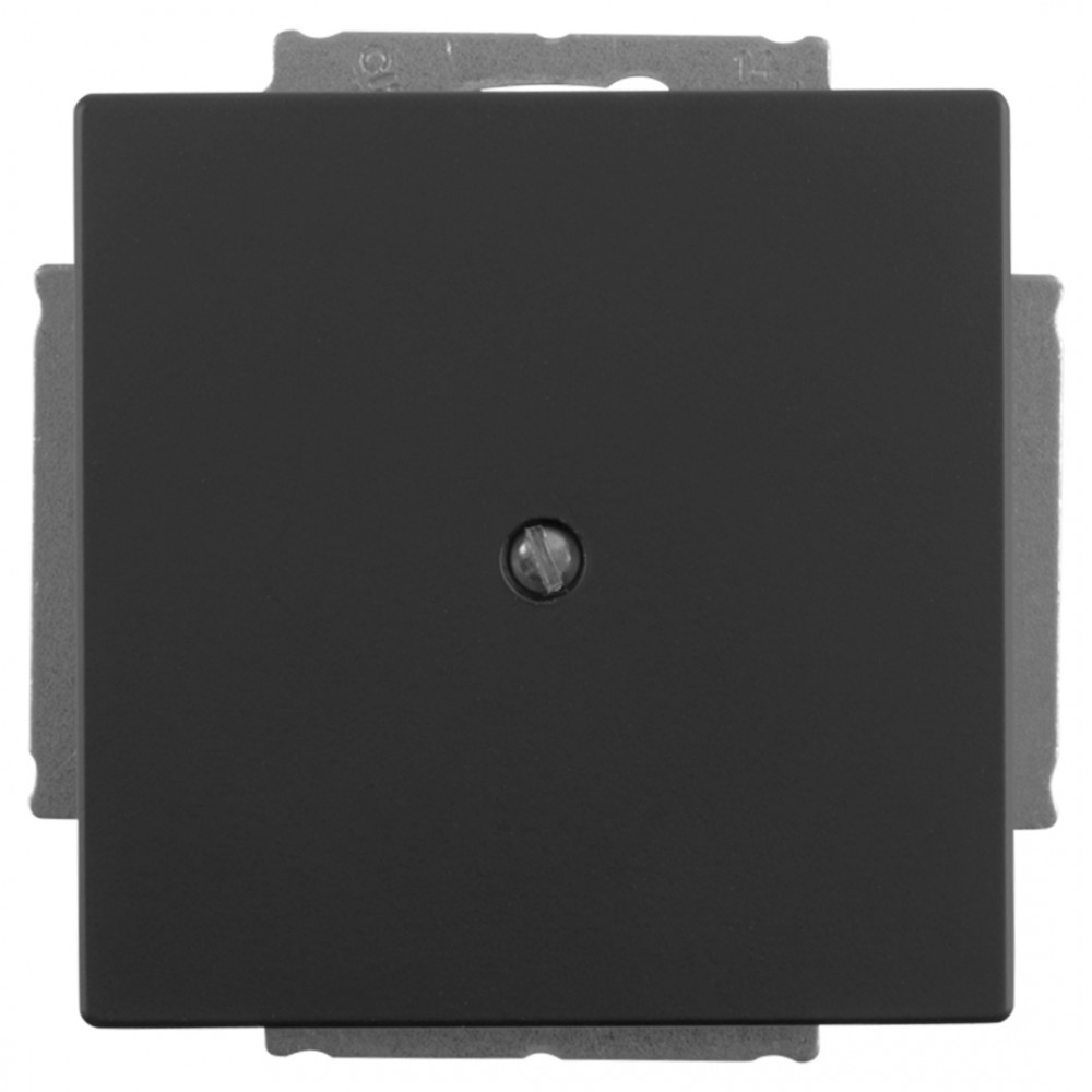 Busch-Jaeger Future Linear blindplaat inbouw - zwart